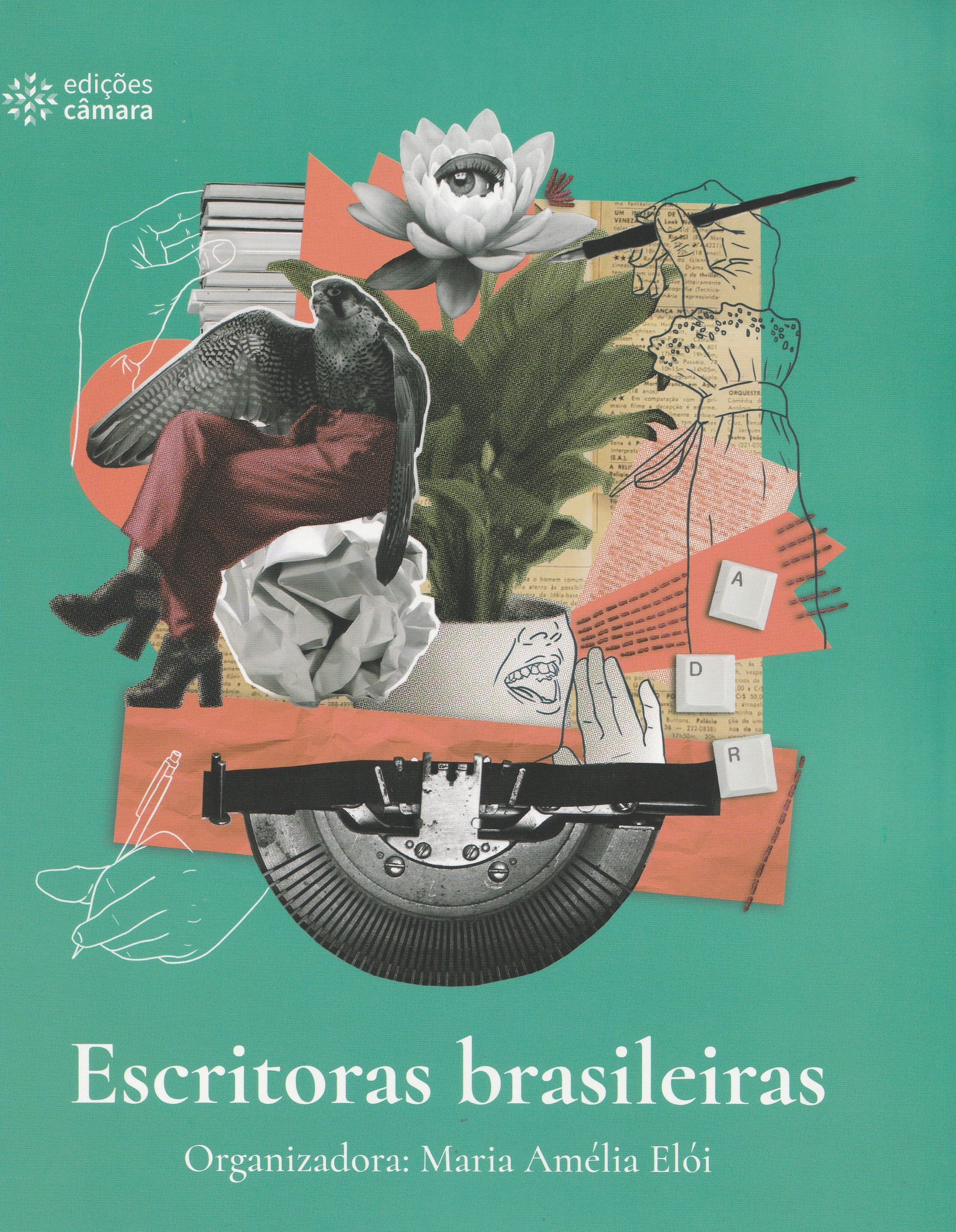 Escritoras Brasileiras de Maria Elói.